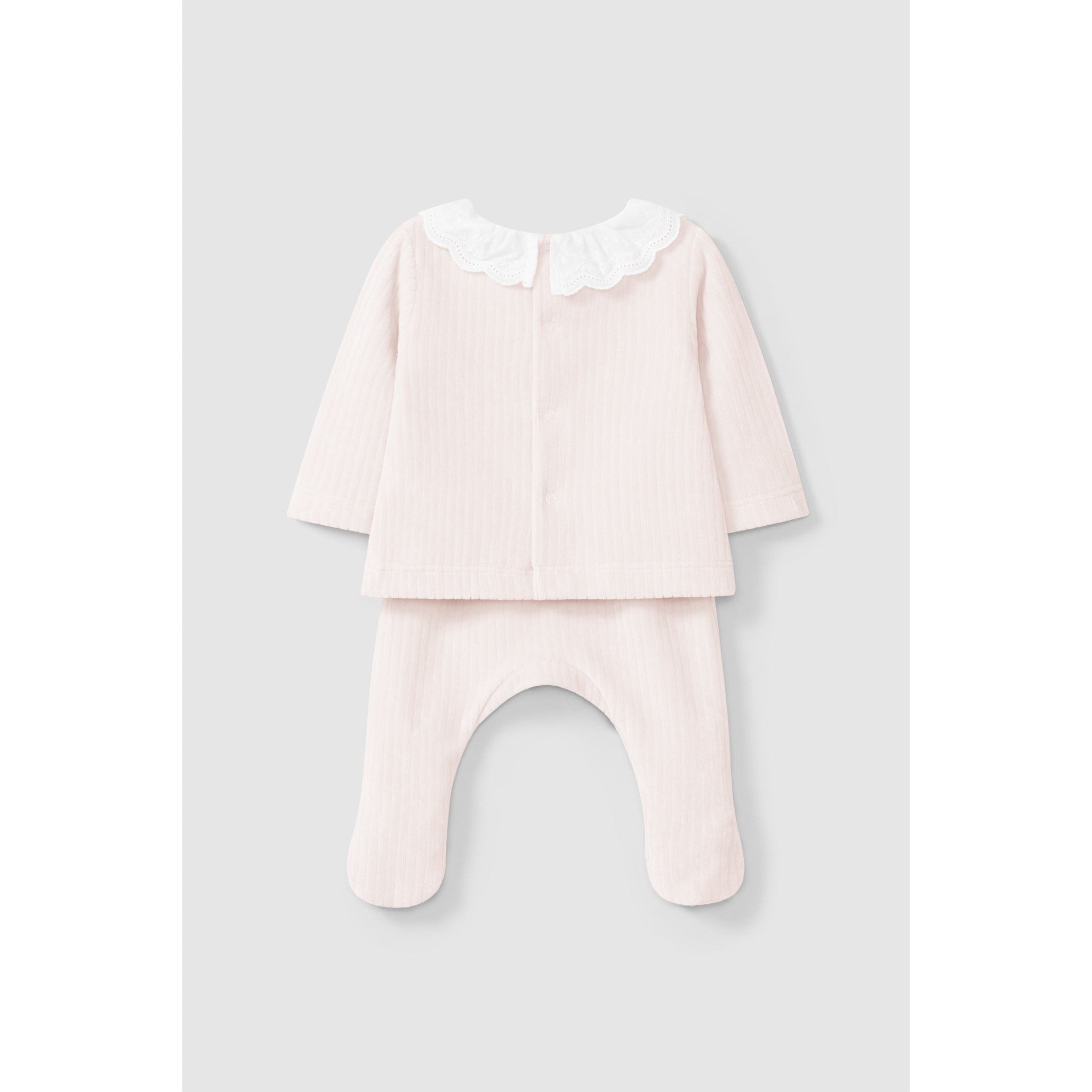 Two-piece set in velvet with lace ruffled collar