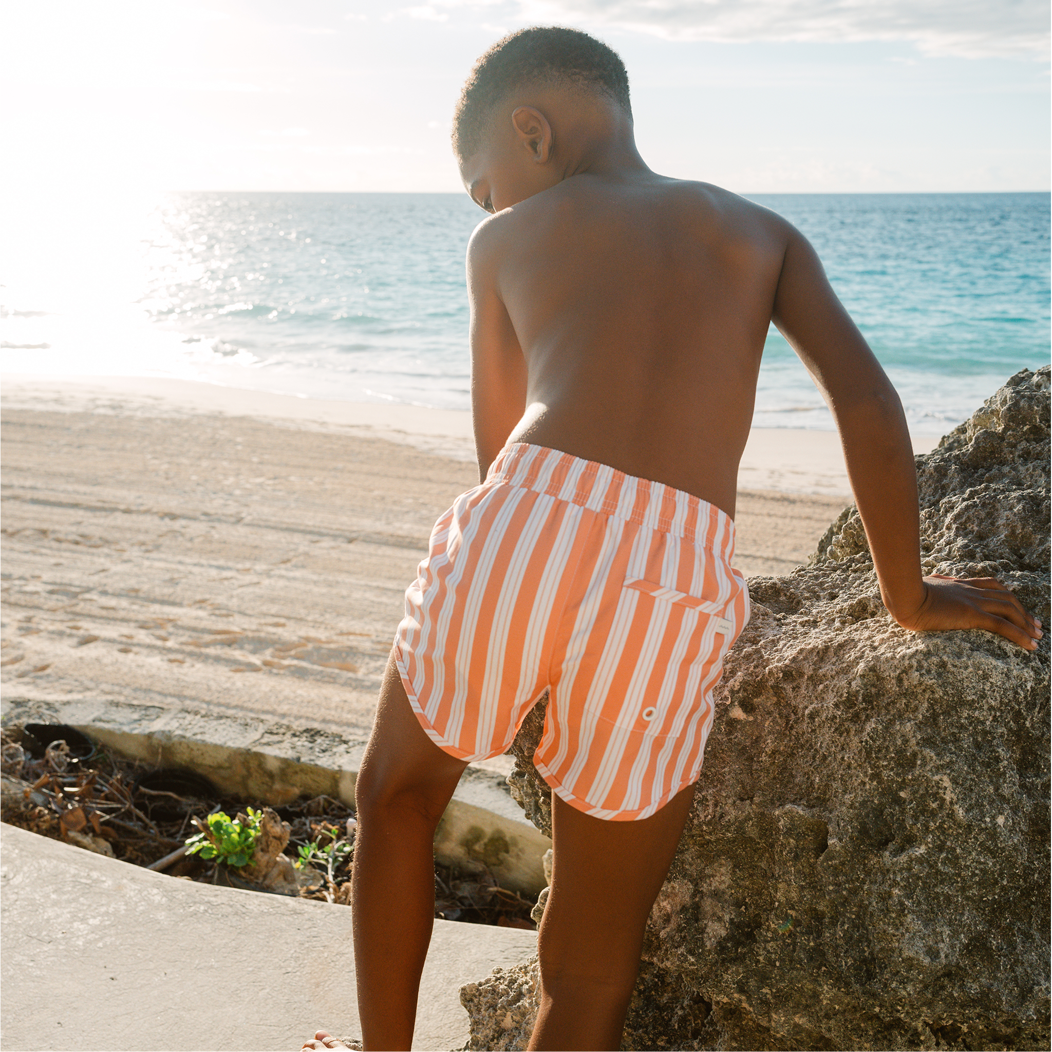 swizzle stripe boardie
