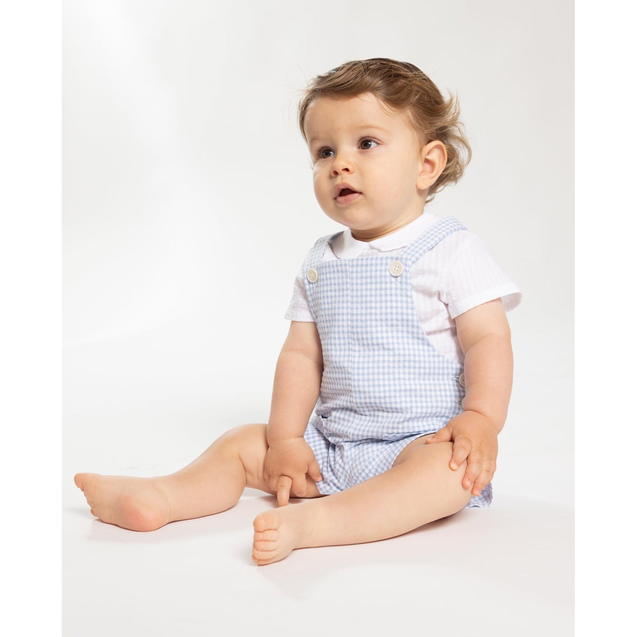 Dungaree Gingham