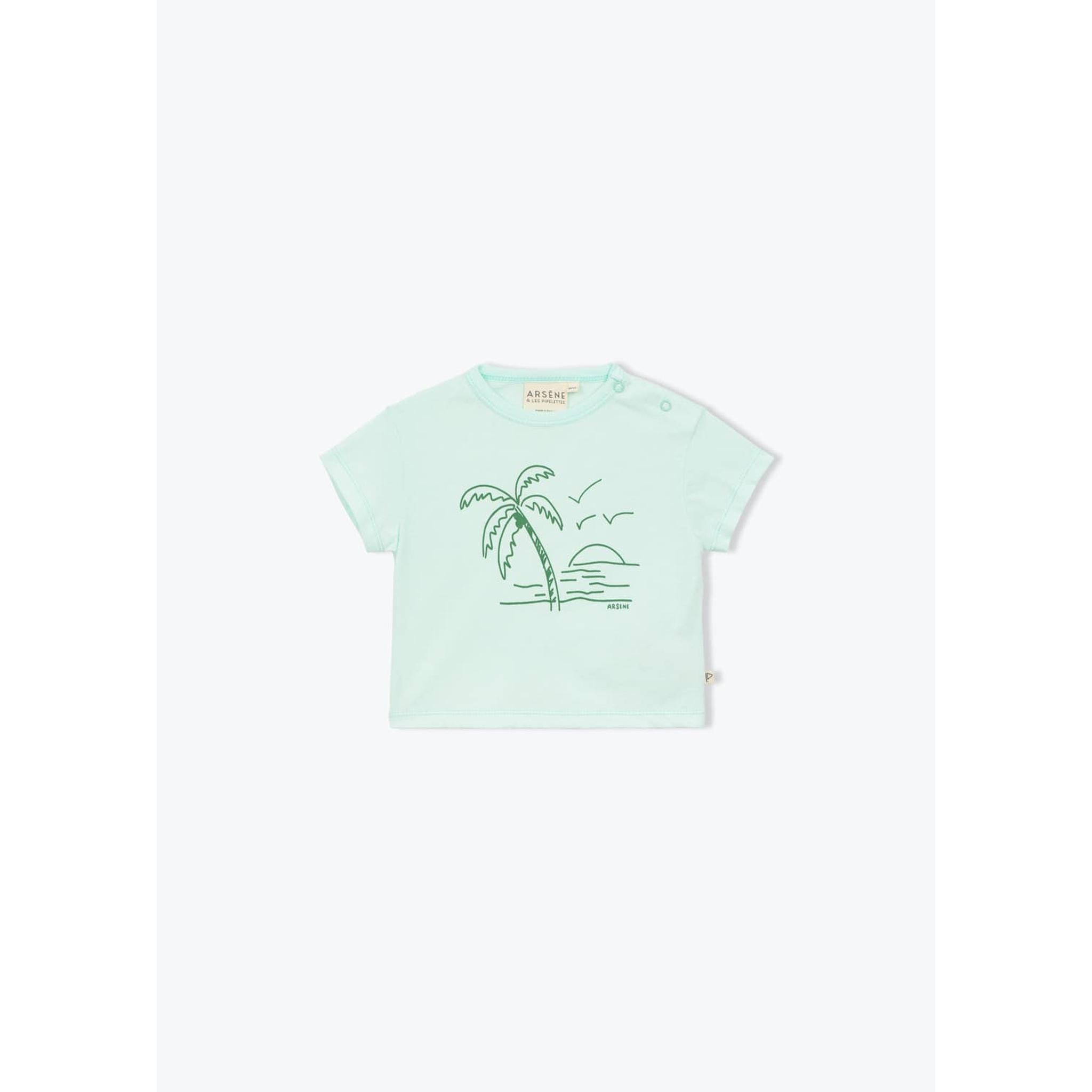 Coconut Palm Short Set