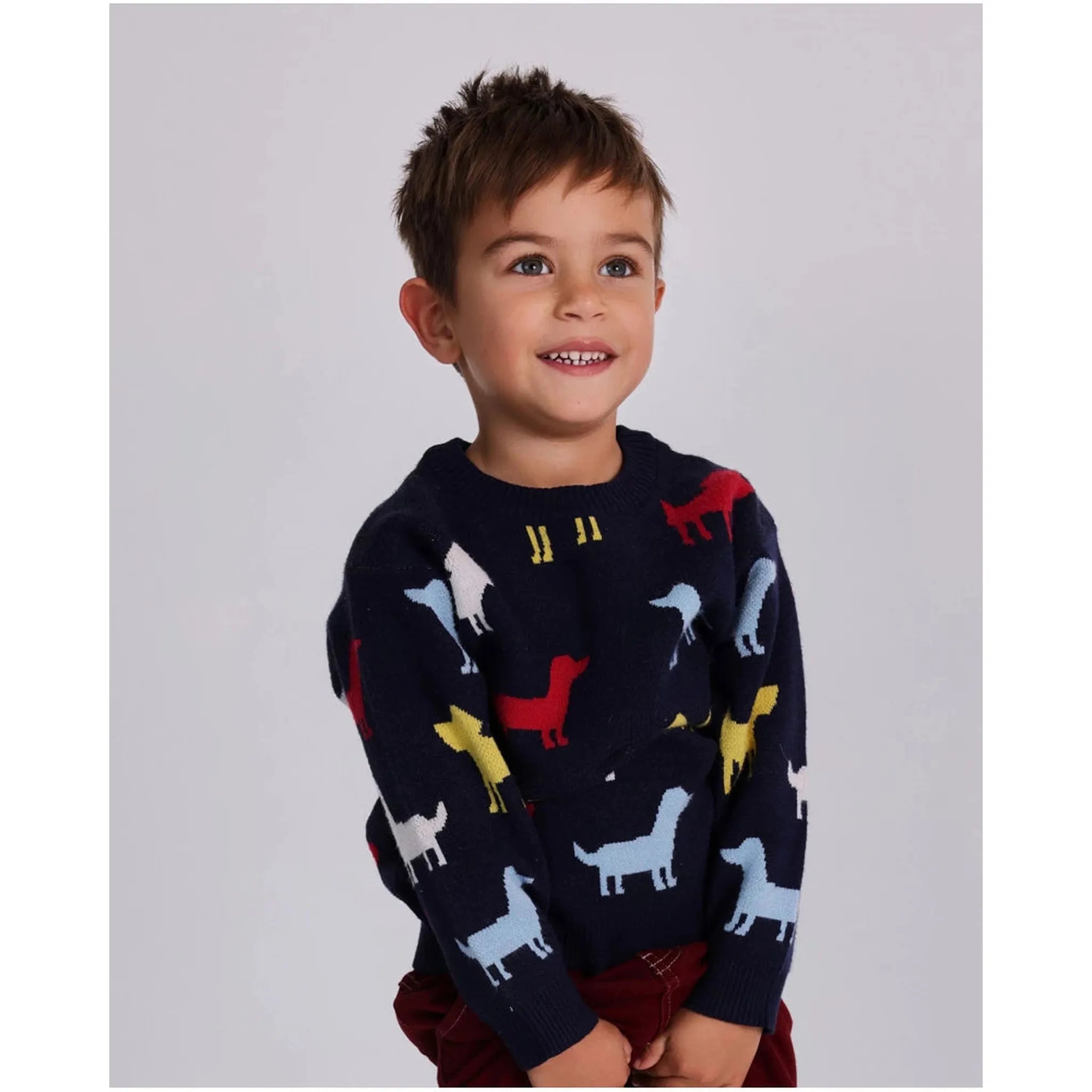 Jersey de punto para niƱo en azul marino con siluetas de perros coloridas