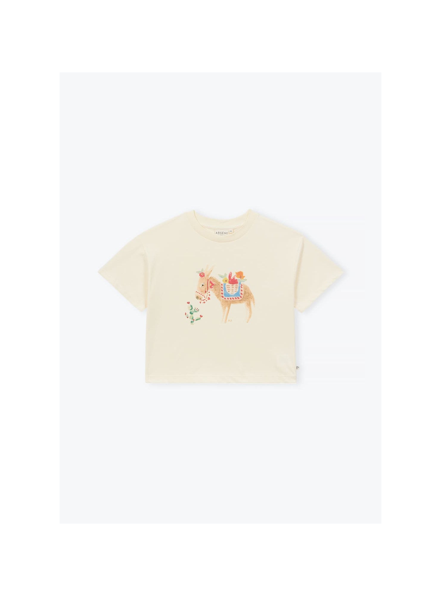 Donkey Short Set
