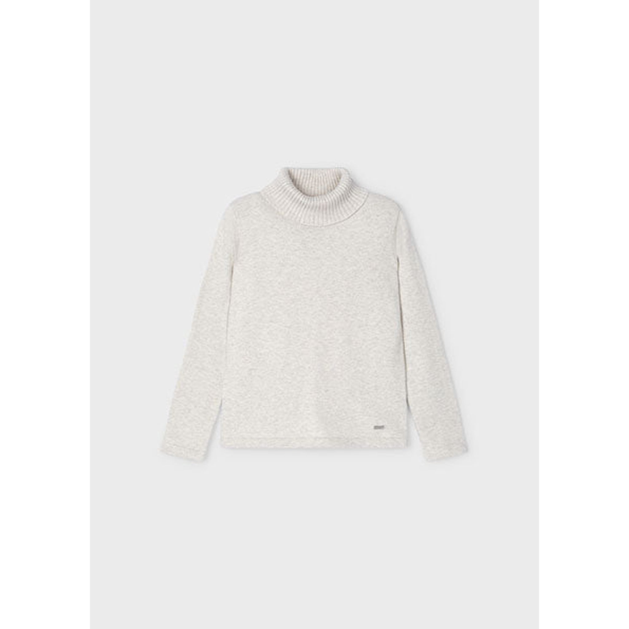 Basic Knit Turtleneck