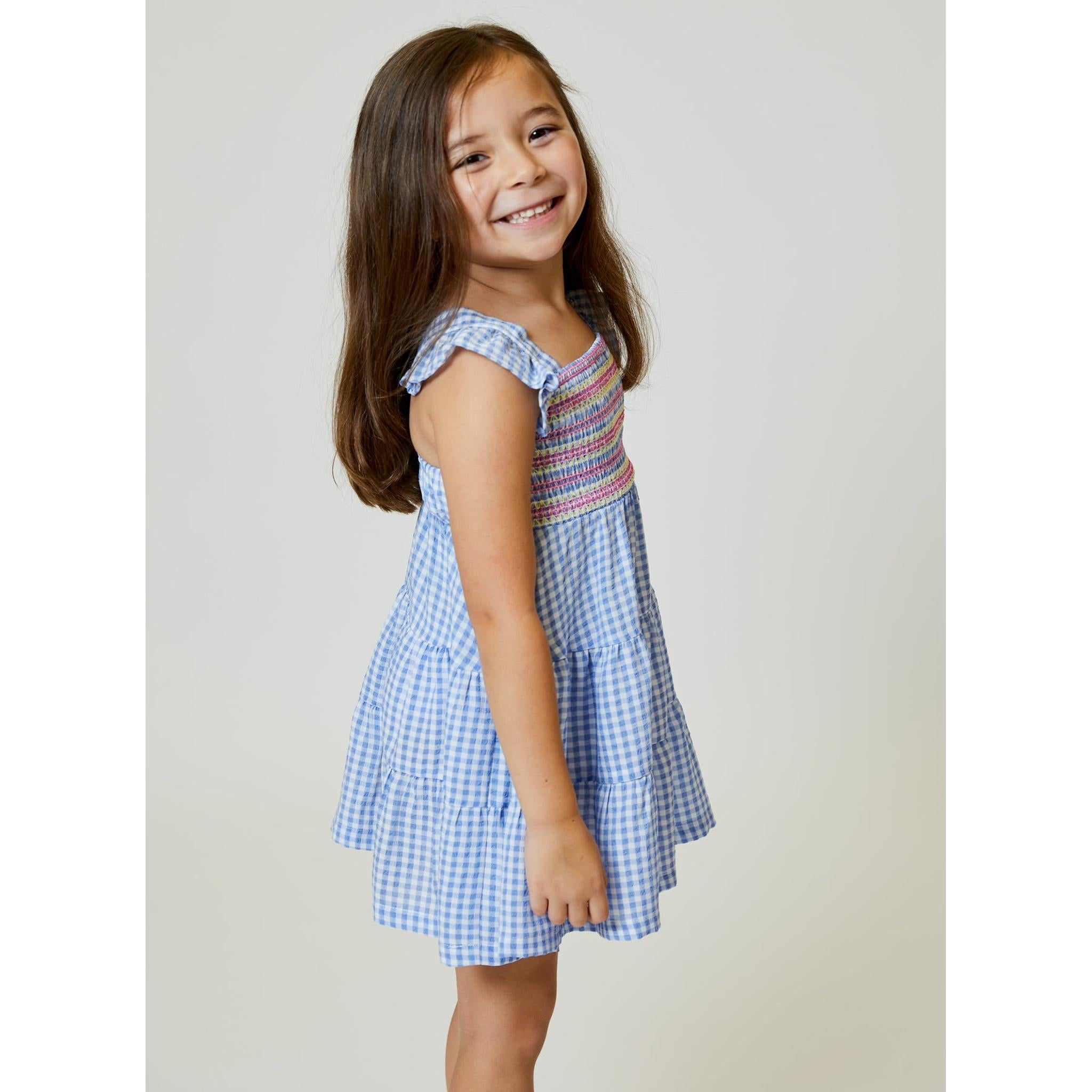 Blue Gingham Dress