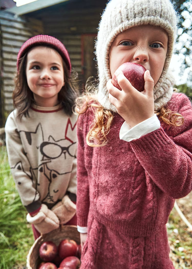 Girl Knit Sweater and Skirt Set