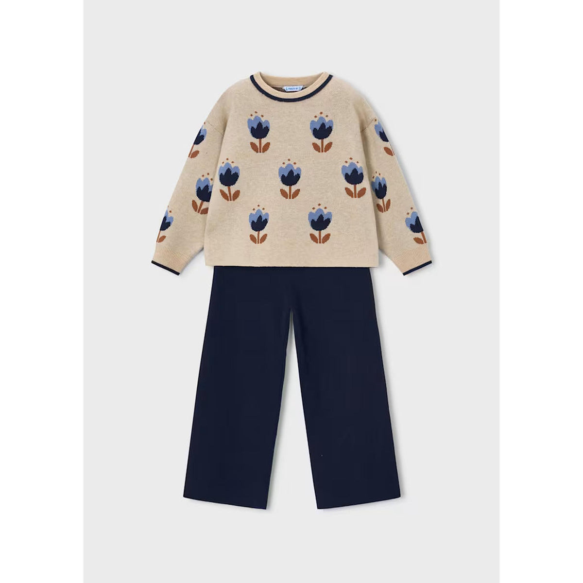 Girl Sweater and Pants Set