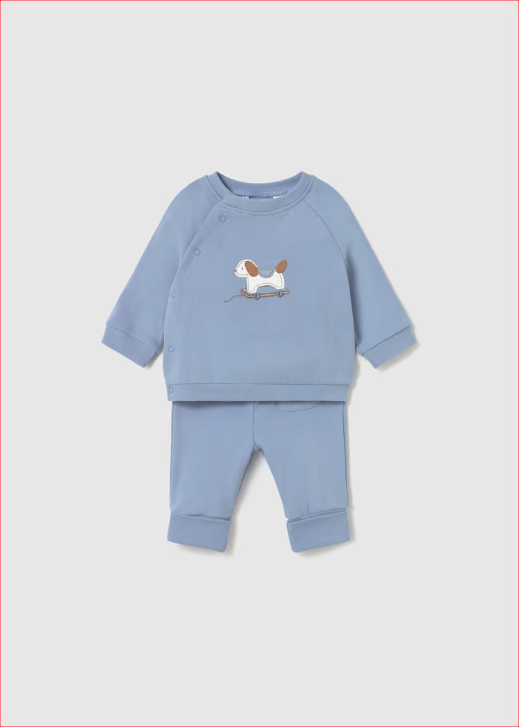 Baby Jogger Set